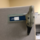 Illustration for article titled I got a bird for my cubicle, now all my coworkers have them